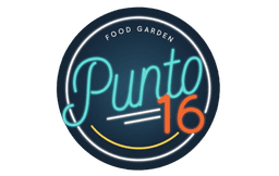 Punto 16